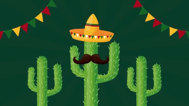 celebration mexican with cactus and hat - Footage, Video