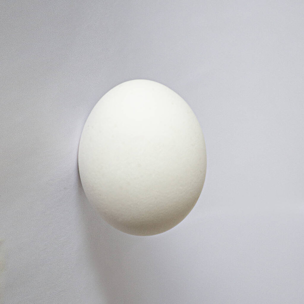 bílá vejce na bílém pozadí - Fotografie, Obrázek