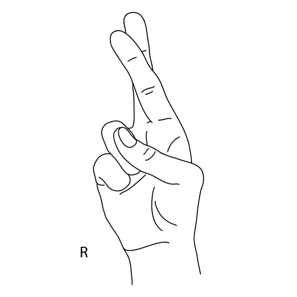 Piirustus ihmiskädestä. R on aakkosten kahdeksastoista kirjain viittomakielellä. Kirjain R. Mustavalkoinen piirros kädestä. Kuuro ja tyhmä kieli. Vektoriesimerkki
 - Vektori, kuva