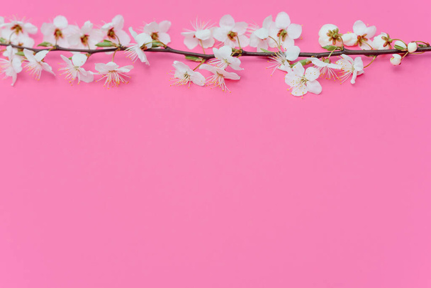 Kaunis lempeä kevät oksia valkoisia kukkia vaaleanpunainen tausta ylhäältä tasainen makasi tilaa tekstiä. Tervehdys kortti herkkä kukkia Vaaleanpunainen kukka tausta
. - Valokuva, kuva