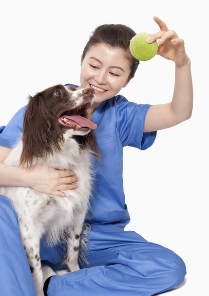 Veterinario che tiene una palla con un cane
 - Foto, immagini