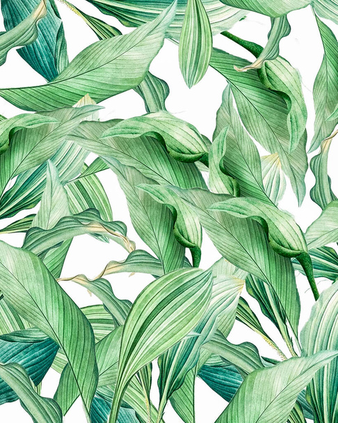 Hintergrund aus Aquarell, tropischen, palmfarbenen, grünen Blättern auf hellem Hintergrund. Postkarten-Einladung. - Foto, Bild