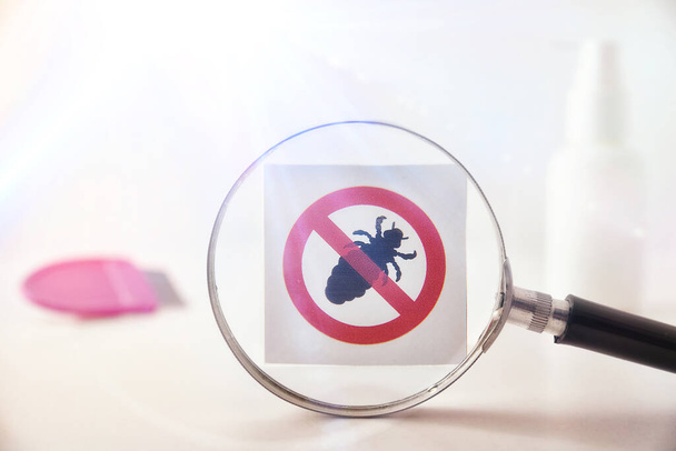 Lice prevention concept with magnifying glass focusing on drawing of prohibited lice and accessories in the background. Horizontal composition. Front view - Фото, зображення