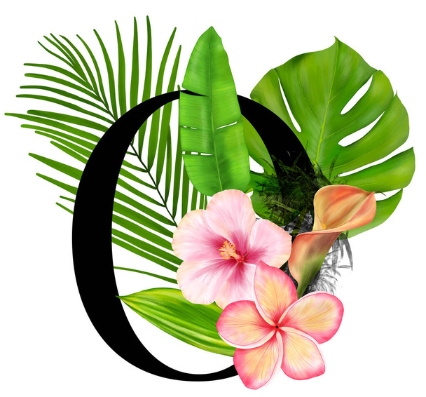 Lettre O. Logo de l'alphabet de décoration tropicale avec fleurs et feuilles tropicales
  - Photo, image