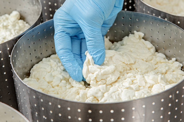 der Prozess des Kochens von Käse, die Hände bringen den Käse in Form - Foto, Bild