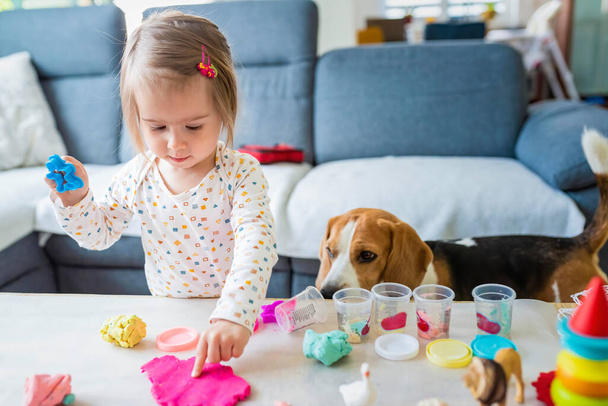 Happy little child, adorable creative 2 year old girl playing with dough plasticine, colorful modeling compound, sitting bright sunny room at home with dog watching. Education concept - 写真・画像