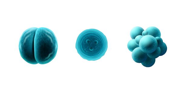 Mitose, Coronavirus, Staphylokokken-Vektorillustration auf isoliertem weißem Hintergrund. Mikroskopvirus hautnah. - Vektor, Bild