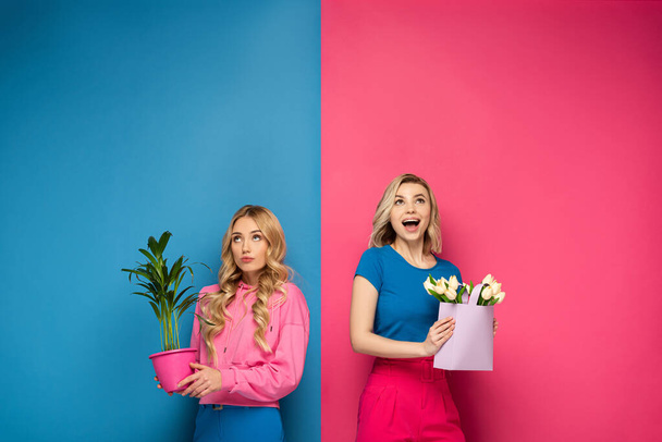 Pensive and excited blonde girls with bouquet and plant on pink and blue background - 写真・画像