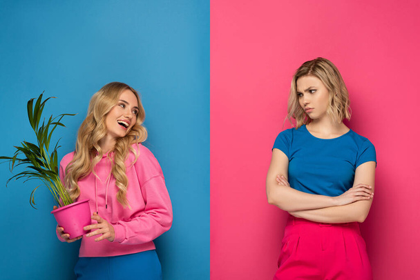 Offended blonde woman looking at smiling sister with plant on pink and blue background - 写真・画像