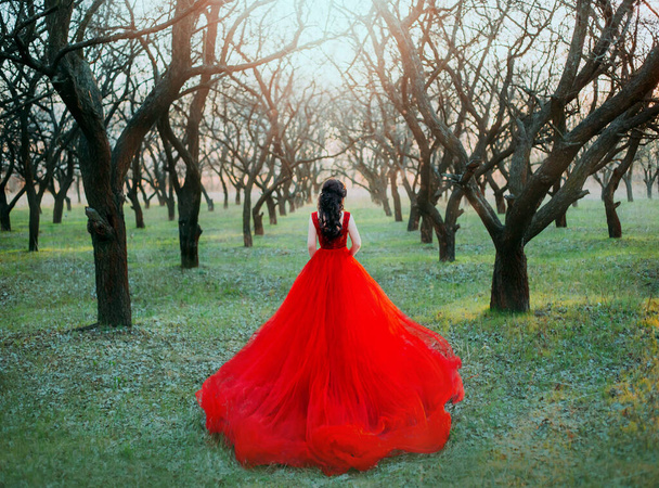 Mysterious beauty silhouette medieval happy woman. long red dress train. Princess walks in spring forest. bare autumn black tree divine sun rays. Young vintage queen enjoys green nature Rear view back - Photo, Image