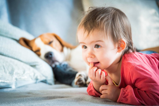 Beagle Dog schläft auf dem Sofa. Baby Girl In rotem Hemd auf Bauch neben ihm liegend. Haustiere Hintergrund. - Foto, Bild