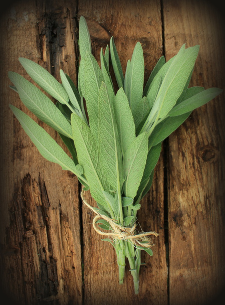 Fresh sage on wooden table - Photo, Image