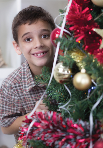 little boy next to a Christmas tree - Fotografie, Obrázek