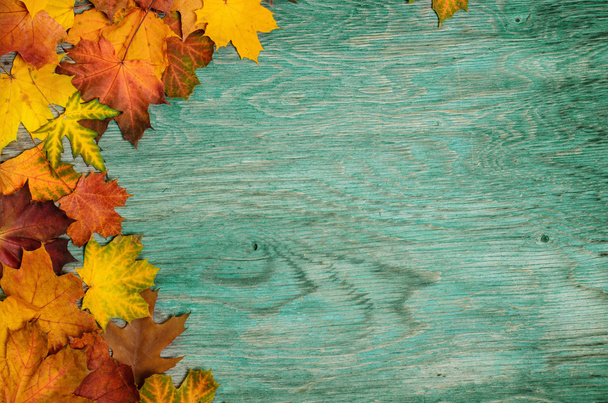 Autumn frame - Foto, Bild