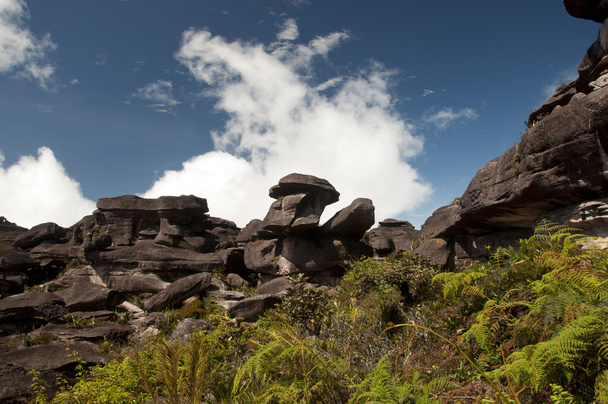 On the top of Roraima plateau. Venezuela - Foto, immagini