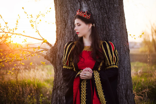 Attractive, girl in a black and red medieval dress with a crown on her head stands against the backdrop of a large tree. A young queen dressed in a dress in the style of 14-15 centuries. - Fotografie, Obrázek