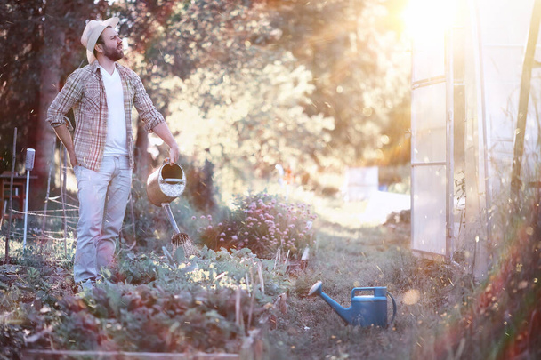 Чоловік фермер поливає овочевий сад увечері на сонці
 - Фото, зображення