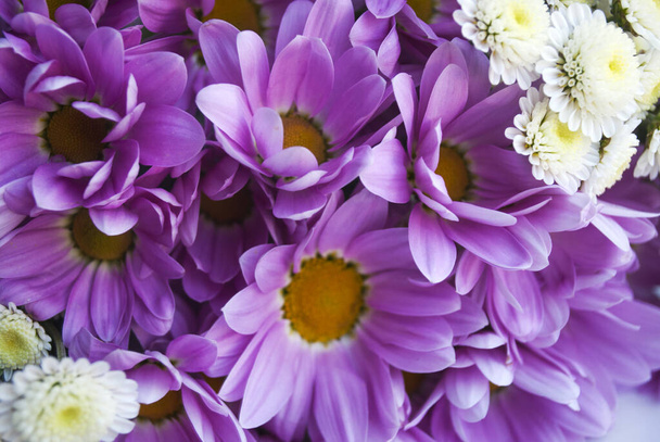 Valkoisia ja violetteja kukkia, taustaa. Kimppu
. - Valokuva, kuva