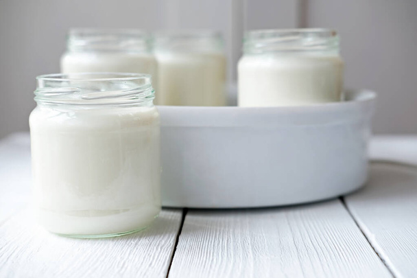 homemade organic yogurt in glass jars in yogurt maker. automatic yogurt machine to make fermented milk product at home. yogurt or kefir making during quarantine concept.  - Photo, Image