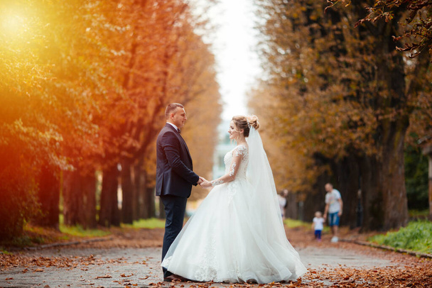 wedding couple in the forest at sunset. - Foto, Imagem