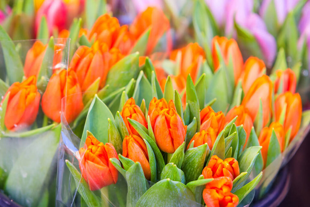 lente boeket van tulpen - Foto, afbeelding