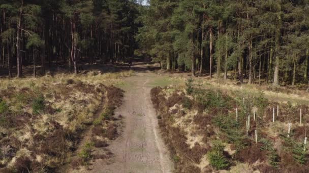 Drone footage of a person mountain biking along an empty country track near a forest on a sunny morning in North Yorkshire England completely isolated - Footage, Video