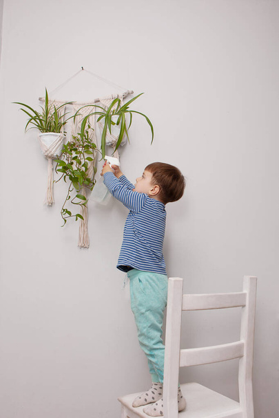 El niño se encarga de la planta en casa. Un chico rocía plantas en jarrones. El niño cuida de las plantas en casa, rociando la planta con agua limpia de una pistola de pulverización
 - Foto, Imagen