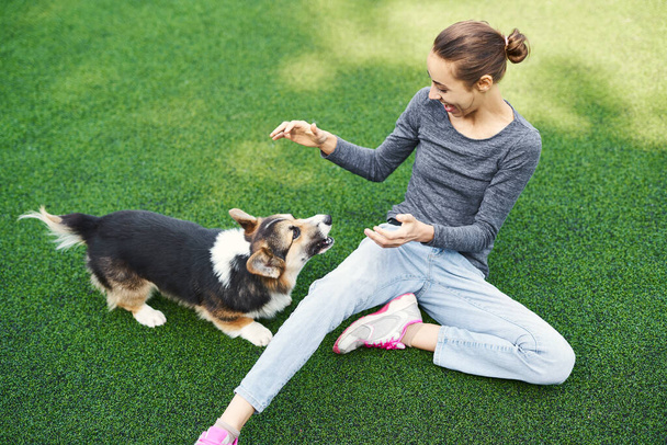 Funny Welsh Corgi dog and smiling happy woman sitting on grass and playing outdoors, spending time together. Concept friendship with dog and human, dog walking - Photo, image