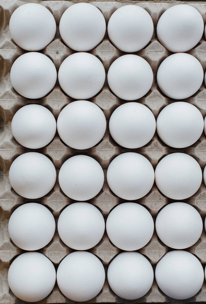 Tray of white fresh eggs close-up on a cardboard form. Agricultural industry - Foto, immagini