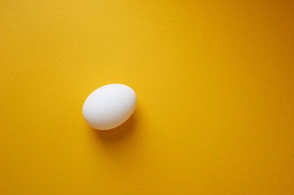 One egg on a white background.Minimalism. An idea, the beginning of life. - Фото, изображение