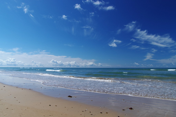 plaży Costa de la luz, Hiszpania - Zdjęcie, obraz