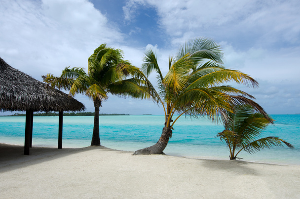 Csendes-óceán trópusi szigeten Beach bungalow - Fotó, kép