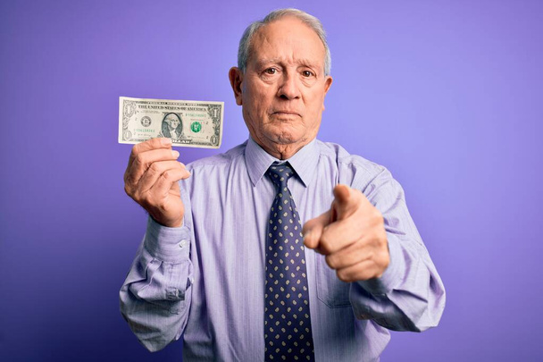 Hombre de pelo gris mayor sosteniendo un billete de un dólar sobre fondo púrpura señalando con el dedo a la cámara y a usted, signo de mano, gesto positivo y seguro de la parte delantera
 - Foto, imagen