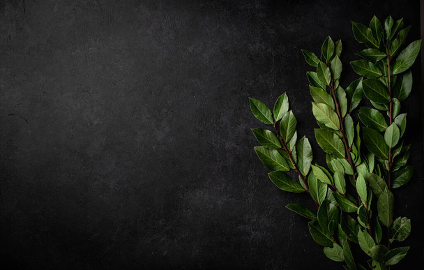 bay leaves on a black background, top view, place for text. - Fotografie, Obrázek