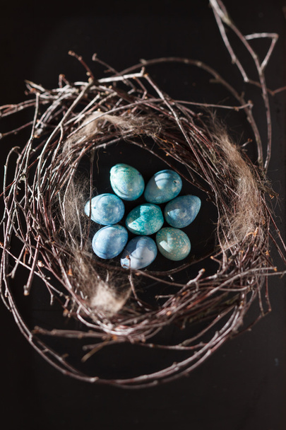Blue eggs in the nest - Foto, imagen