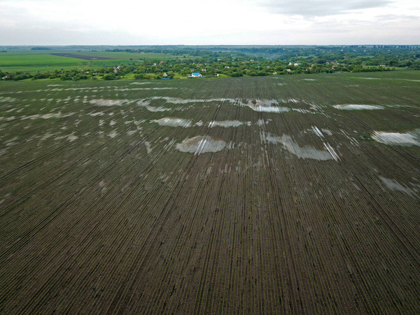 Hava görüntüsü. Yağmurdan sonra sürülen tarla - Fotoğraf, Görsel