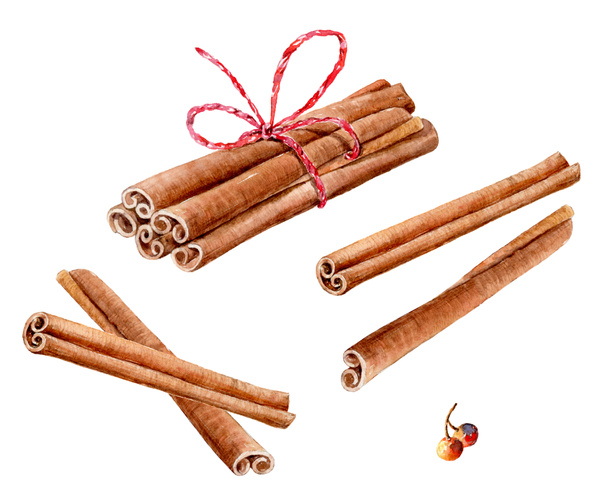 Set of watercolor cinnamon sticks and tea spices anise, cloves, cardamom on white background. - Photo, Image