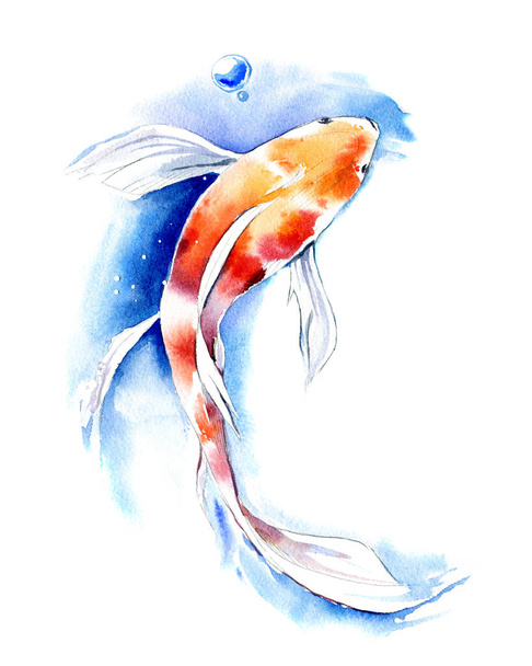 ilustração aquarela desenhada à mão de peixes Koi Carp no fundo branco
. - Foto, Imagem