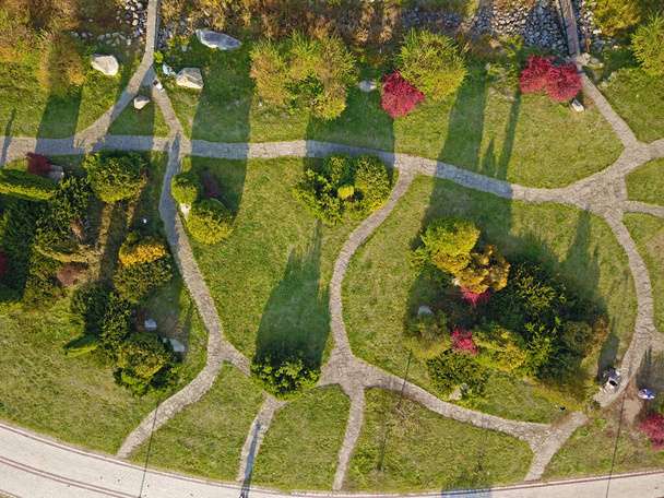 Hava görüntüsü. Sonbahar parkındaki patikalar - Fotoğraf, Görsel
