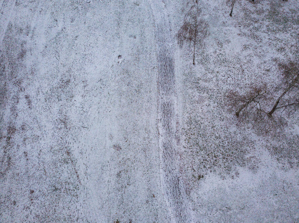 Vista aerea. Strada pedonale nel parco. Alberi e cespugli sono coperti di neve - Foto, immagini