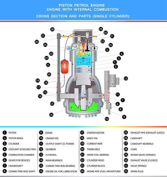 Piston petrol engine, structural cross section with parts in basic design for education - Vector, Image