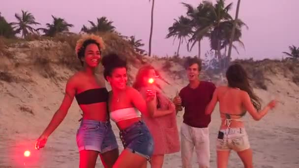 Multi wyścigi grupa młodych ludzi na kempingu gospodarstwa musujące fajerwerki ognisko w nocy i taniec - Materiał filmowy, wideo