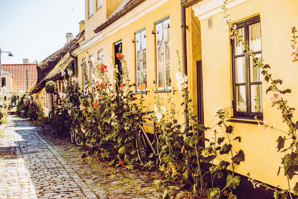 Beautiful Danish architecture in a picturesque village - 写真・画像