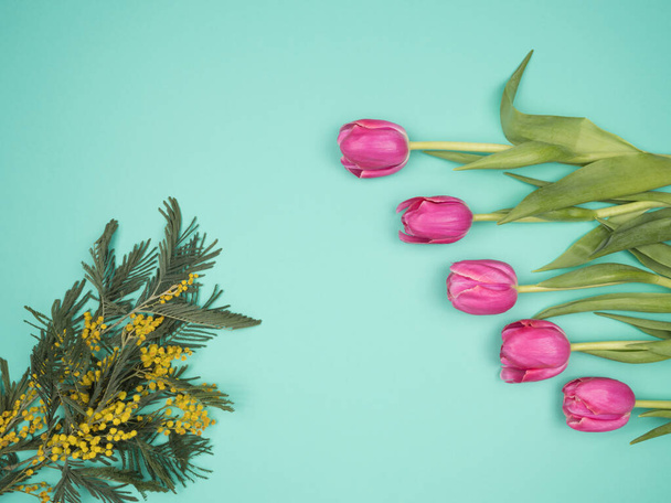 Fiori primaverili Acacia dealbata e tulipani rosa su sfondo turchese
. - Foto, immagini