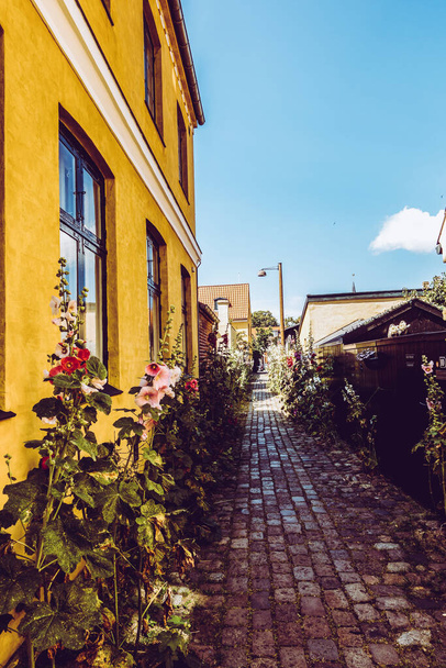 Hermoso, pintoresco pueblo danés - Foto, Imagen