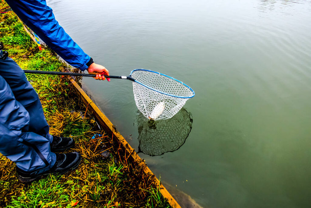 Pêche à la truite sur le lac, pêche sportive et activités de plein air - Photo, image