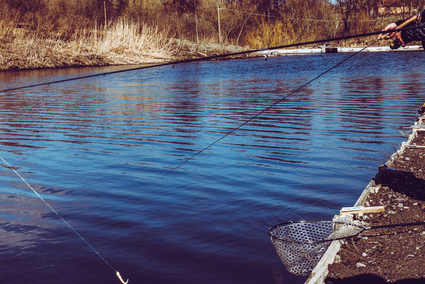 Rybaření pstruhů na jezeře - Fotografie, Obrázek