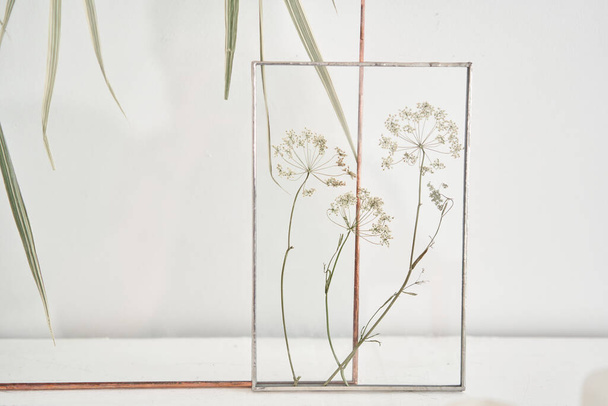 Foto van echte planten tussen de glazen. Natuurlijke decoratieve elementen voor huisdecoratie: herbarium in een kader op een witte tafel - Foto, afbeelding