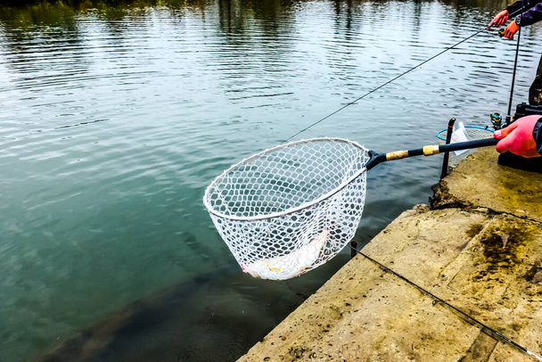 Pesca alla trota sul lago, pesca sportiva e attività all'aria aperta - Foto, immagini