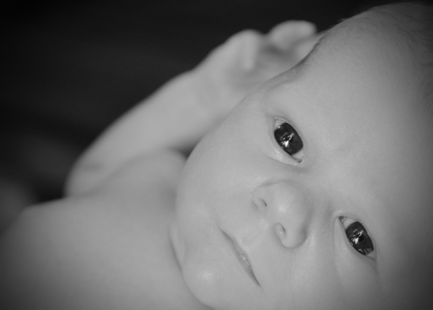 close up of newborn infant - Foto, Imagem